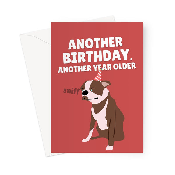 Another Birthday, Another Year Older Crying Sniffing Dog Meme Tiktok Funny Greeting Card