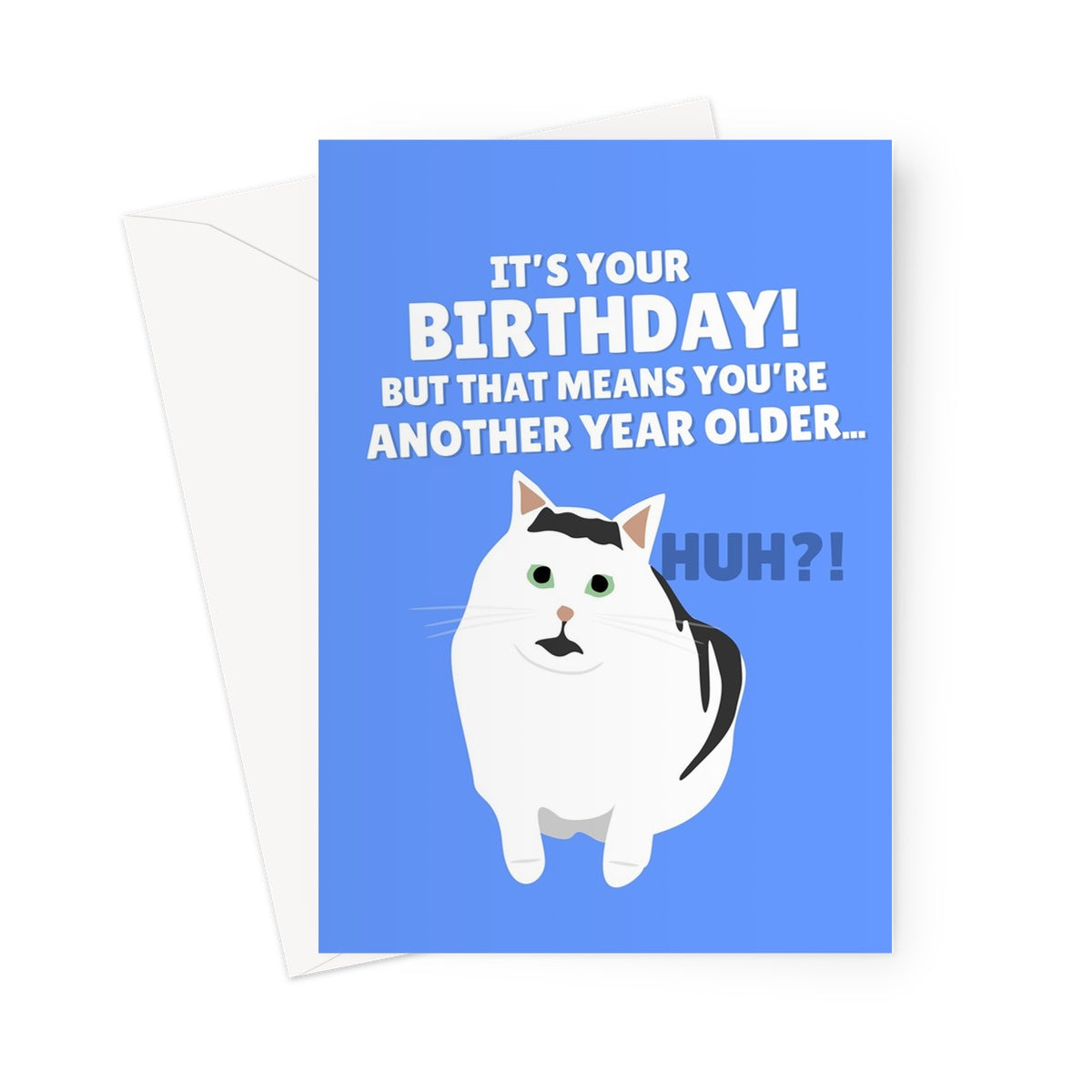 It's Your Birthday! But That Means You're Another Year Older... HUH Tiktok Meme Cat Funny Greeting Card