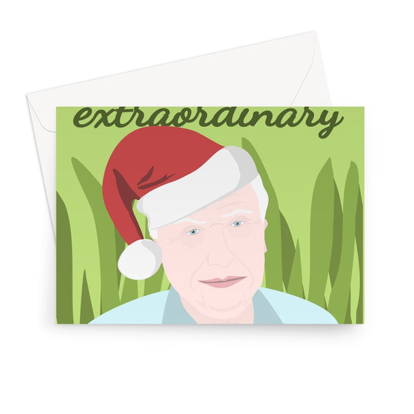 Hope You Have The Most Extraordinary Christmas On Planet Earth David Attenborough Icon Celebrity British UK Nature TV Animals Greeting Card