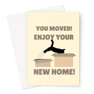 You Moved! Enjoy Your New Home! Funny Cute Pet Cat Kitten Cardboard Box  Greeting Card