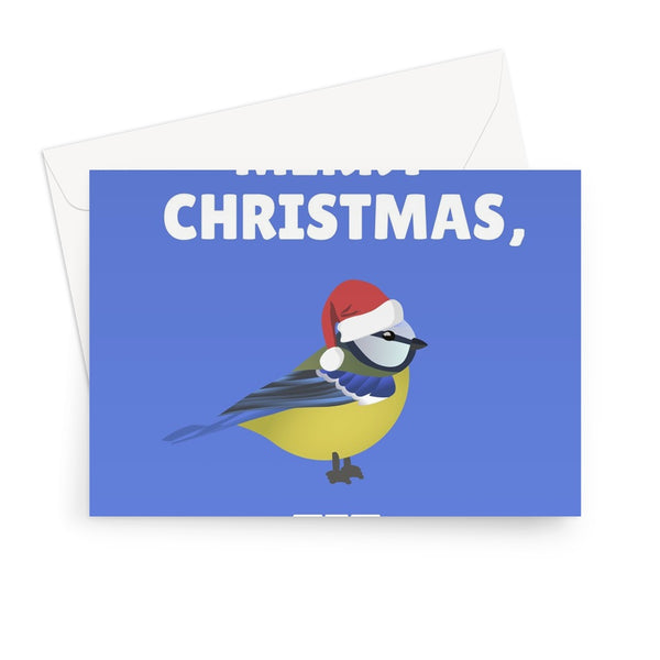Merry Christmas, Tit Funny Xmas Blue Tit Garden Bird Pun Cheeky Greeting Card