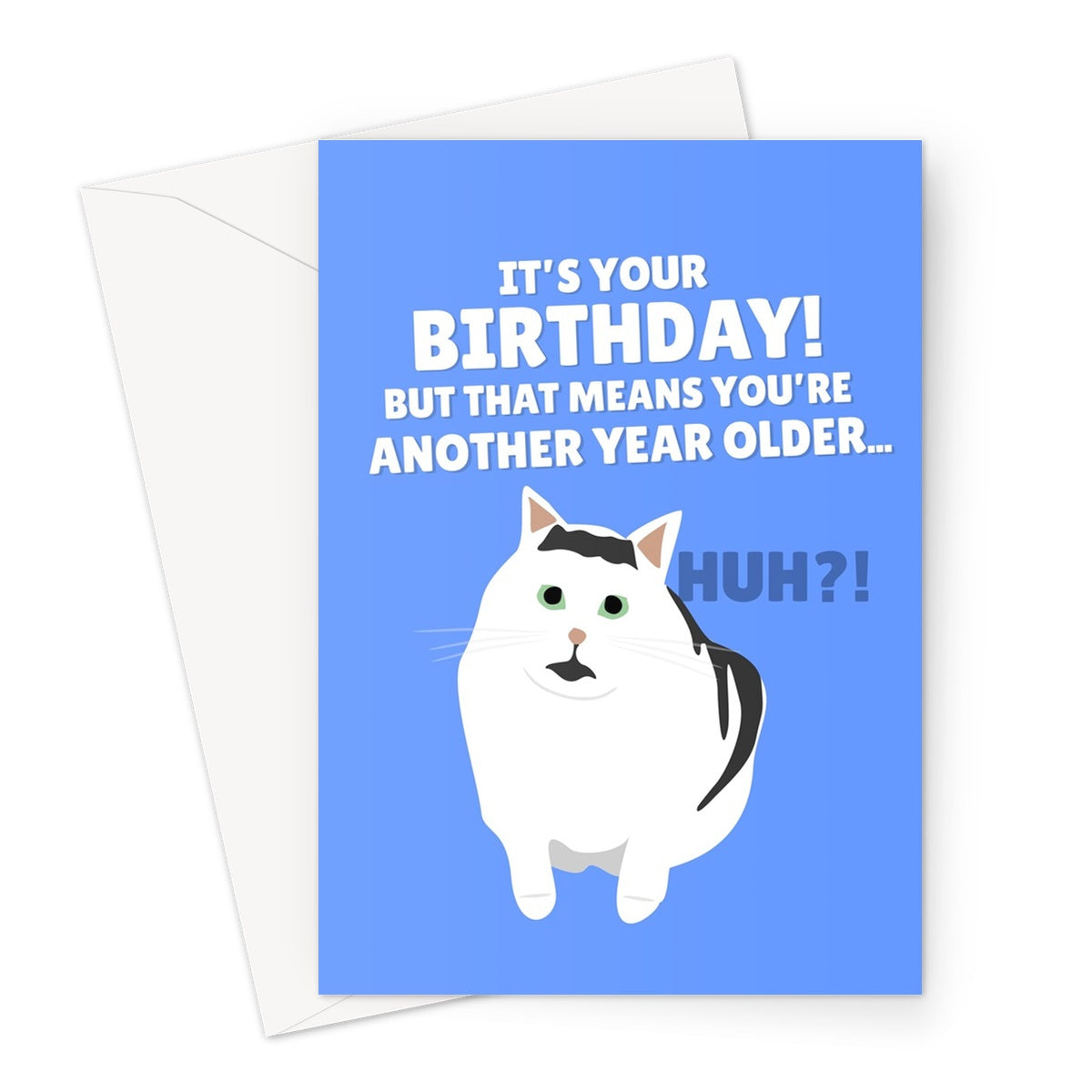 It's Your Birthday! But That Means You're Another Year Older... HUH Tiktok Meme Cat Funny Greeting Card